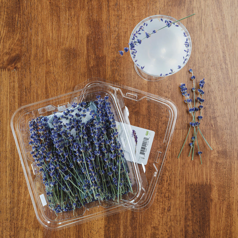 Buy Online True French Lavender Flowers in New York